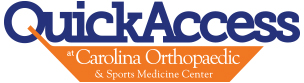 quick access logo